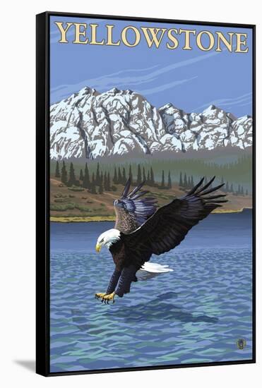 Bald Eagle Diving, Yellowstone National Park-Lantern Press-Framed Stretched Canvas