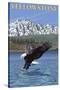 Bald Eagle Diving, Yellowstone National Park-Lantern Press-Stretched Canvas