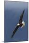 Bald Eagle Flight-Ken Archer-Mounted Photographic Print