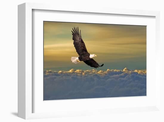 Bald Eagle Flying Above Clouds-null-Framed Art Print