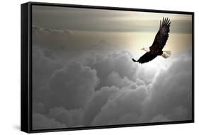 Bald Eagle Flying Above The Clouds-Steve Collender-Framed Stretched Canvas