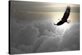 Bald Eagle Flying Above The Clouds-Steve Collender-Stretched Canvas