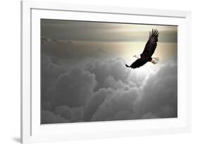 Bald Eagle Flying Above The Clouds-Steve Collender-Framed Photographic Print