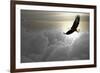 Bald Eagle Flying Above The Clouds-Steve Collender-Framed Photographic Print