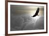 Bald Eagle Flying Above The Clouds-Steve Collender-Framed Photographic Print