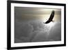 Bald Eagle Flying Above The Clouds-Steve Collender-Framed Photographic Print