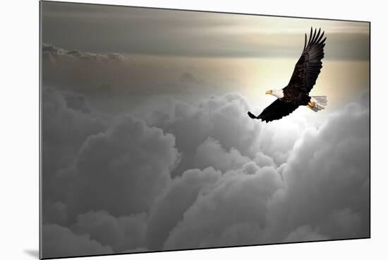 Bald Eagle Flying Above The Clouds-Steve Collender-Mounted Photographic Print