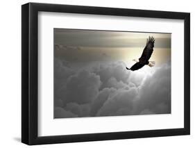 Bald Eagle Flying Above The Clouds-Steve Collender-Framed Photographic Print