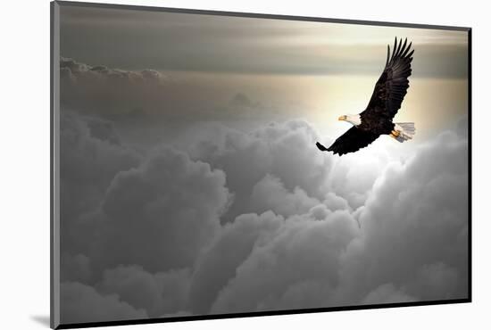 Bald Eagle Flying Above The Clouds-Steve Collender-Mounted Photographic Print