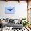 Bald Eagle flying in the sky, Haines, Alaska, USA-Keren Su-Stretched Canvas displayed on a wall