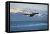 Bald Eagle flying over the ocean, snow mountain in the distance, Homer, Alaska, USA-Keren Su-Framed Stretched Canvas