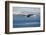 Bald Eagle flying over the ocean, snow mountain in the distance, Homer, Alaska, USA-Keren Su-Framed Photographic Print