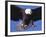 Bald Eagle Flying-Lynn M^ Stone-Framed Photographic Print