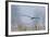 Bald Eagle, Foggy Wetland Marsh-Ken Archer-Framed Photographic Print