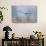 Bald Eagle, Foggy Wetland Marsh-Ken Archer-Stretched Canvas displayed on a wall