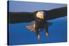 Bald Eagle (Haliaeetus Leucocephalus) in Flight Against Blue Sky-Lynn M^ Stone-Stretched Canvas