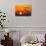 Bald Eagle (Haliaeetus Leucocephalus) In Flight, Silhouetted At Sunset, Haines, Alaska, March-Juan Carlos Munoz-Photographic Print displayed on a wall