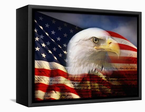 Bald Eagle Head and American Flag-Joseph Sohm-Framed Stretched Canvas