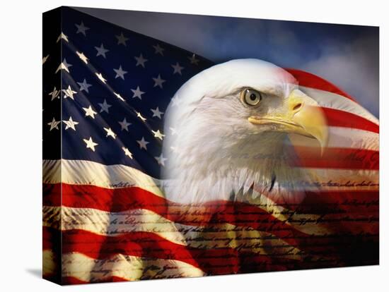 Bald Eagle Head and American Flag-Joseph Sohm-Stretched Canvas