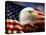 Bald Eagle Head and American Flag-Joseph Sohm-Stretched Canvas