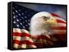 Bald Eagle Head and American Flag-Joseph Sohm-Framed Stretched Canvas