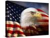 Bald Eagle Head and American Flag-Joseph Sohm-Stretched Canvas