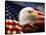 Bald Eagle Head and American Flag-Joseph Sohm-Stretched Canvas