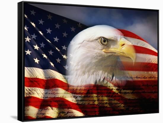 Bald Eagle Head and American Flag-Joseph Sohm-Framed Stretched Canvas