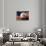 Bald Eagle Head and American Flag-Joseph Sohm-Stretched Canvas displayed on a wall