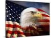 Bald Eagle Head and American Flag-Joseph Sohm-Stretched Canvas