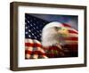 Bald Eagle Head and American Flag-Joseph Sohm-Framed Premium Photographic Print