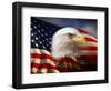 Bald Eagle Head and American Flag-Joseph Sohm-Framed Premium Photographic Print