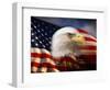 Bald Eagle Head and American Flag-Joseph Sohm-Framed Premium Photographic Print