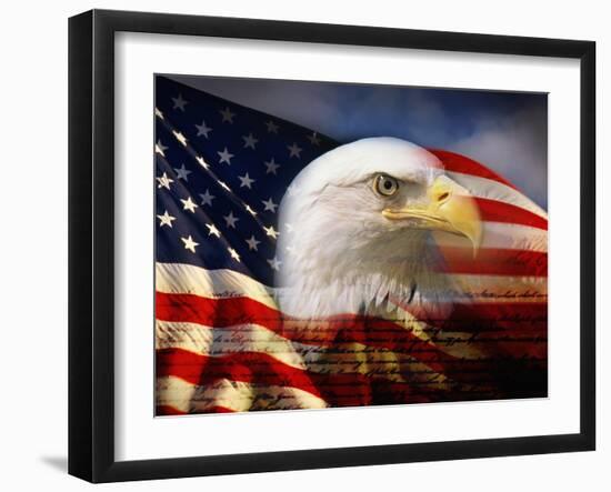Bald Eagle Head and American Flag-Joseph Sohm-Framed Premium Photographic Print