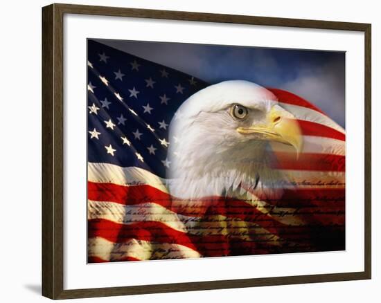 Bald Eagle Head and American Flag-Joseph Sohm-Framed Photographic Print