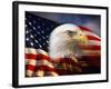 Bald Eagle Head and American Flag-Joseph Sohm-Framed Photographic Print