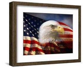 Bald Eagle Head and American Flag-Joseph Sohm-Framed Photographic Print