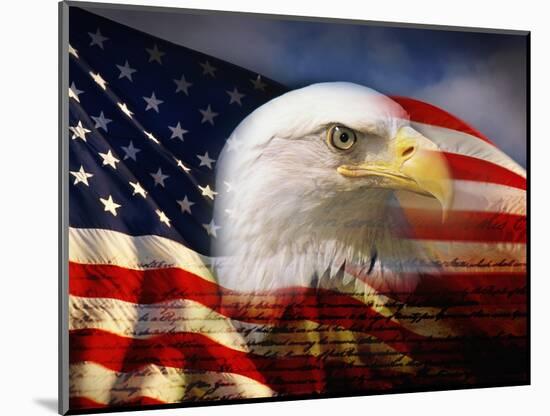 Bald Eagle Head and American Flag-Joseph Sohm-Mounted Photographic Print