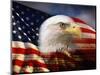 Bald Eagle Head and American Flag-Joseph Sohm-Mounted Photographic Print