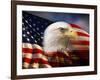 Bald Eagle Head and American Flag-Joseph Sohm-Framed Photographic Print