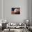 Bald Eagle Head and American Flag-Joseph Sohm-Photographic Print displayed on a wall