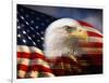 Bald Eagle Head and American Flag-Joseph Sohm-Framed Photographic Print