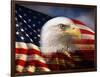 Bald Eagle Head and American Flag-Joseph Sohm-Framed Photographic Print