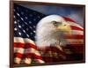 Bald Eagle Head and American Flag-Joseph Sohm-Framed Photographic Print