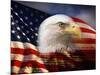 Bald Eagle Head and American Flag-Joseph Sohm-Mounted Photographic Print