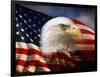 Bald Eagle Head and American Flag-Joseph Sohm-Framed Photographic Print