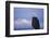 Bald Eagle, Homer, Alaska, USA-Keren Su-Framed Photographic Print