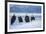 Bald Eagle, Homer, Alaska, USA-Keren Su-Framed Photographic Print