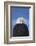 Bald Eagle, Homer, Alaska, USA-Keren Su-Framed Photographic Print