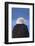 Bald Eagle, Homer, Alaska, USA-Keren Su-Framed Photographic Print